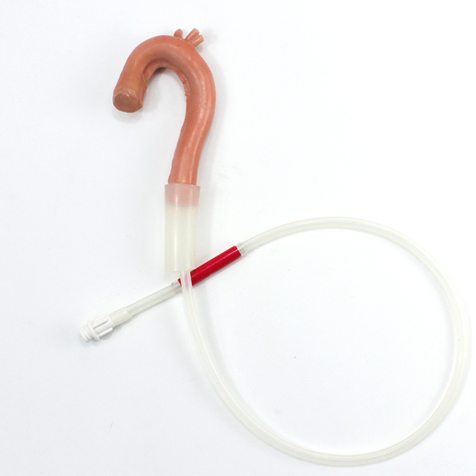 Surgical Sam Aorta (#4119)